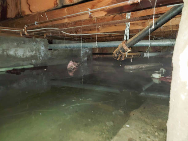 Best Local water damage restoration  in West Slope, OR