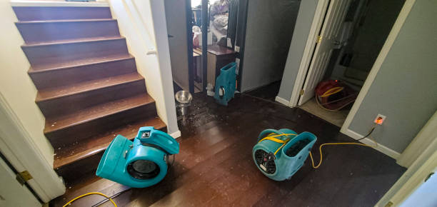 Best 24/7 water damage repair  in West Slope, OR