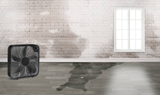 Best Residential water damage restoration  in West Slope, OR