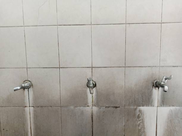 Best Flood damage cleanup  in West Slope, OR