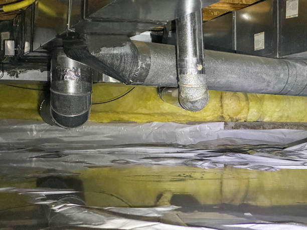 Best Ceiling water damage repair  in West Slope, OR
